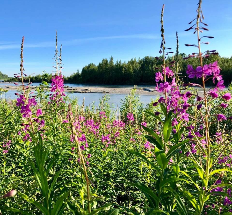 Susitna River Lodging, Riverside Cabins Talkeetna Exterior foto