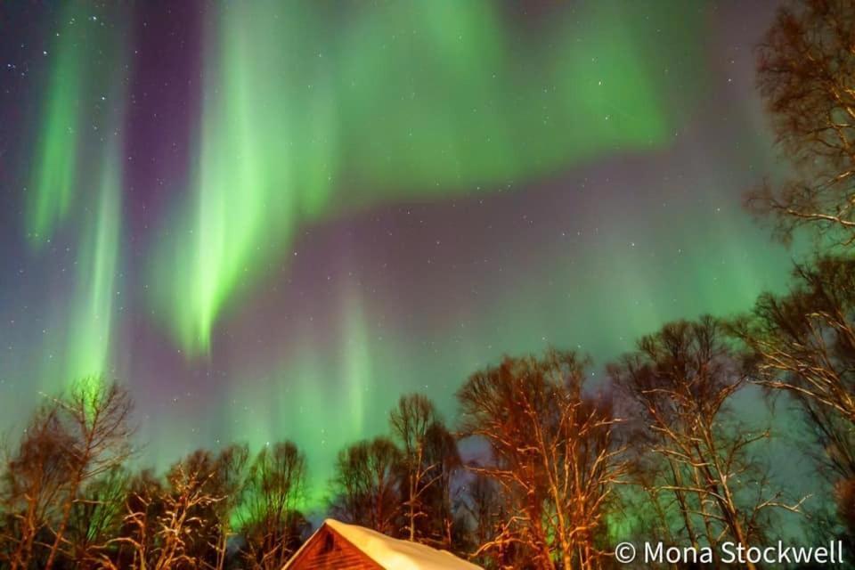 Susitna River Lodging, Riverside Cabins Talkeetna Exterior foto